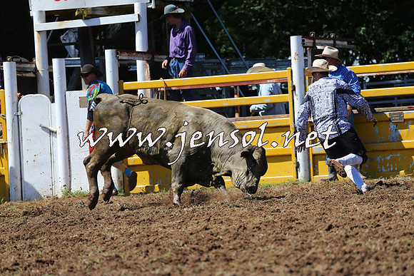 Taralga2015_2039