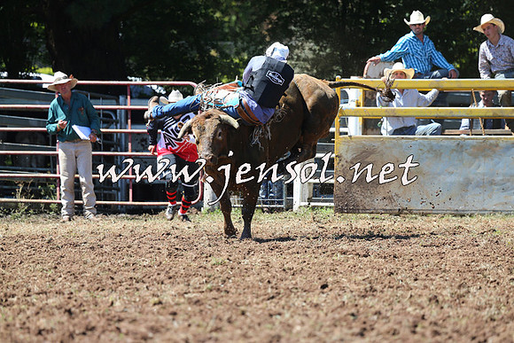 Taralga2015_2064