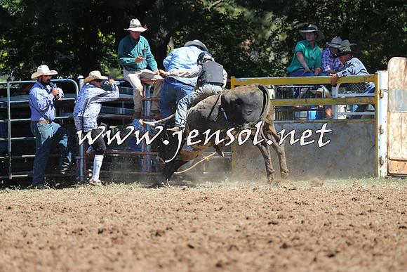 Taralga2015_4688