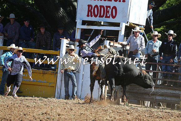 Taralga2015_5418
