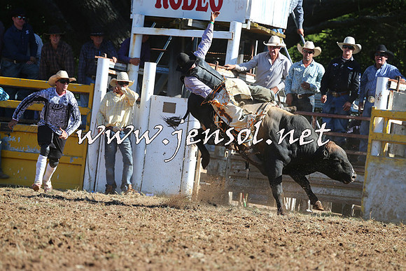 Taralga2015_5423