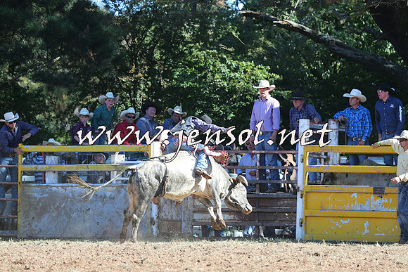 Taralga2015_5325