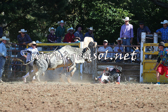 Taralga2015_5342