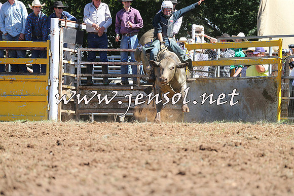 Taralga2015_4725