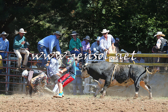Taralga2015_4817