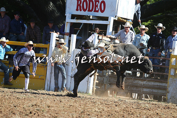 Taralga2015_5408