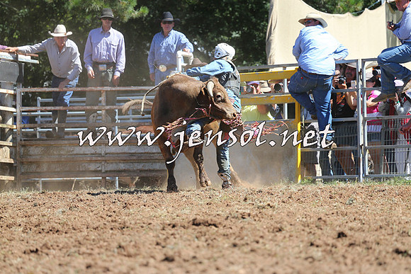 Taralga2015_4666