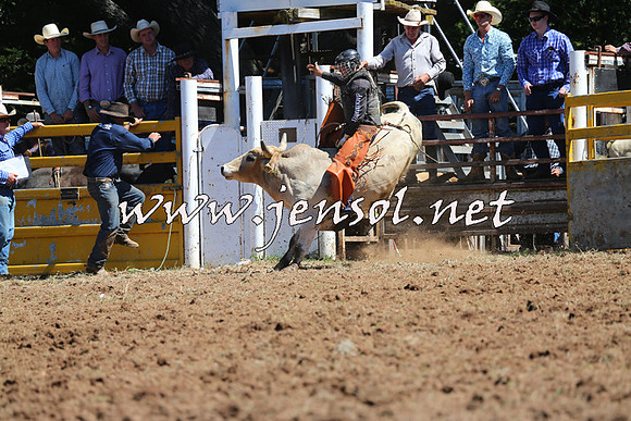 Taralga2015_4542