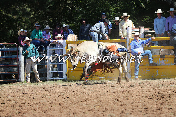 Taralga2015_4560