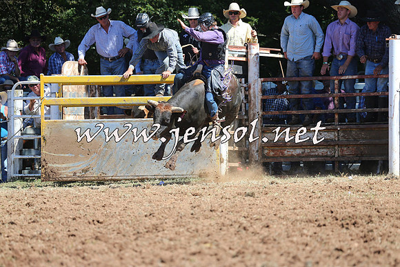 Taralga2015_4573