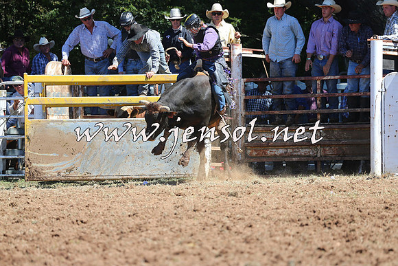 Taralga2015_4572