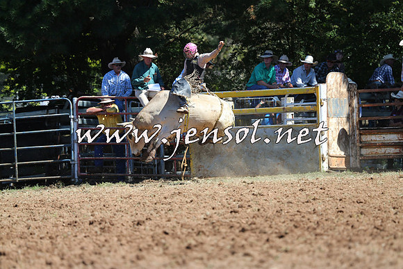 Taralga2015_4777