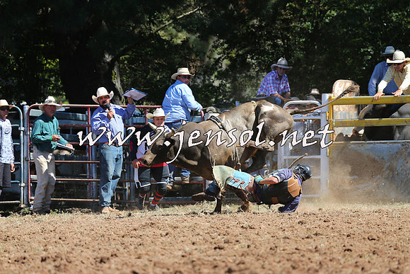 Taralga2015_4671