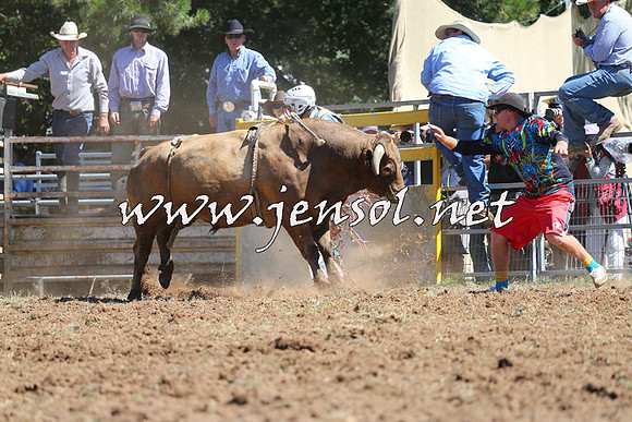 Taralga2015_4658