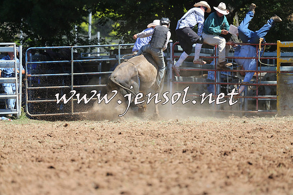 Taralga2015_4686