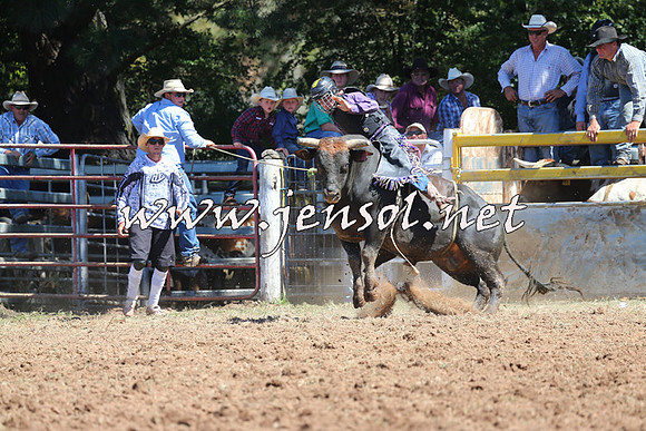 Taralga2015_4585