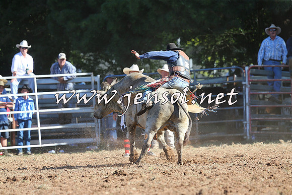 Taralga2015_5393