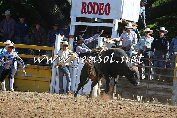 Taralga2015_5417