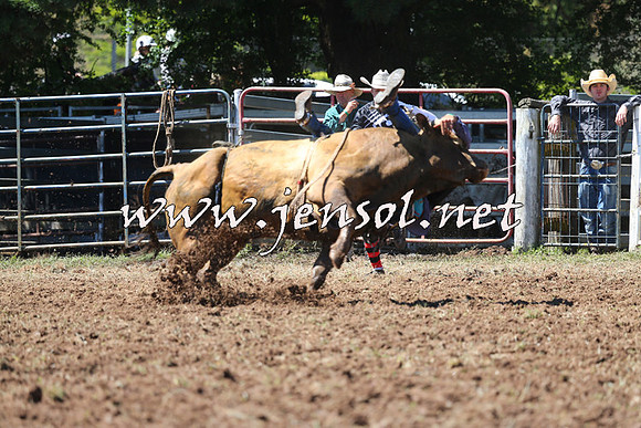 Taralga2015_2068
