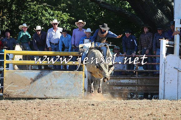 Taralga2015_5349