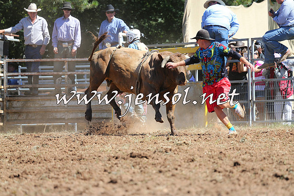 Taralga2015_4663