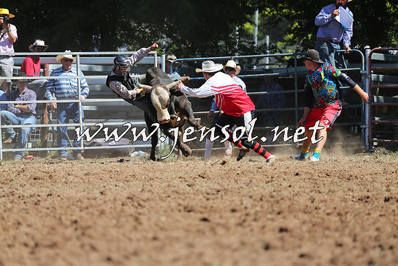 Taralga2015_4706