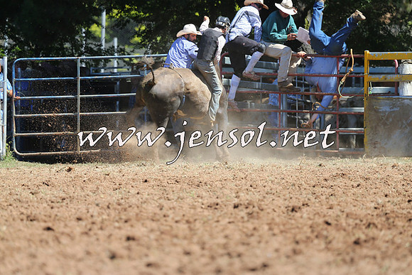 Taralga2015_4685