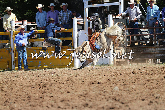 Taralga2015_4537