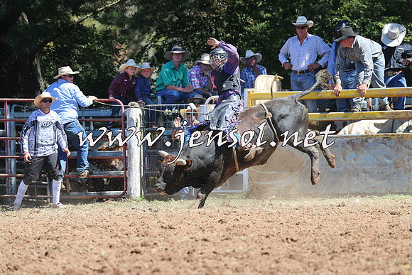 Taralga2015_4566