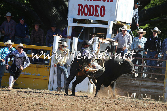 Taralga2015_5406