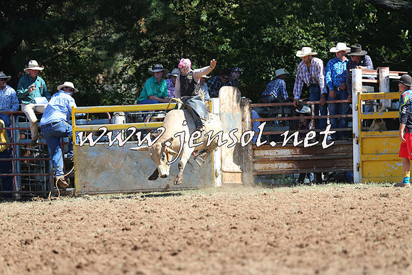 Taralga2015_4775