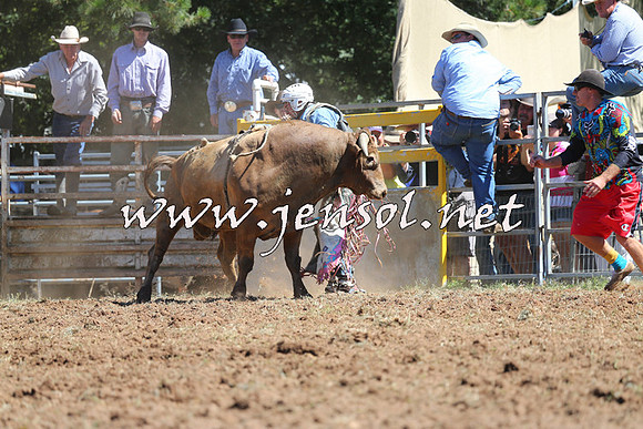 Taralga2015_4667