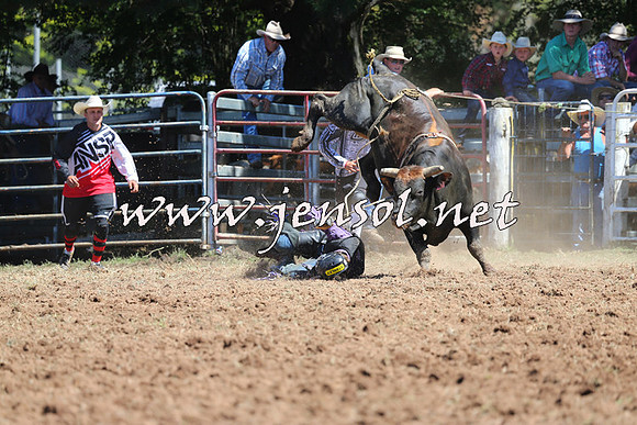 Taralga2015_4583
