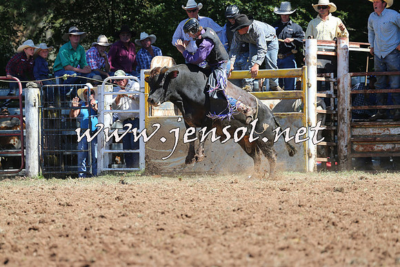 Taralga2015_4567