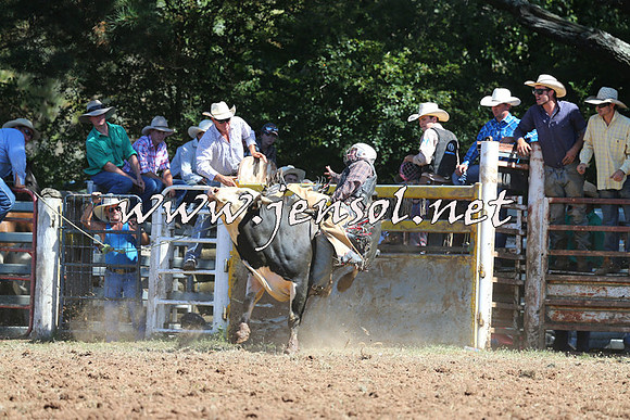 Taralga2015_4814
