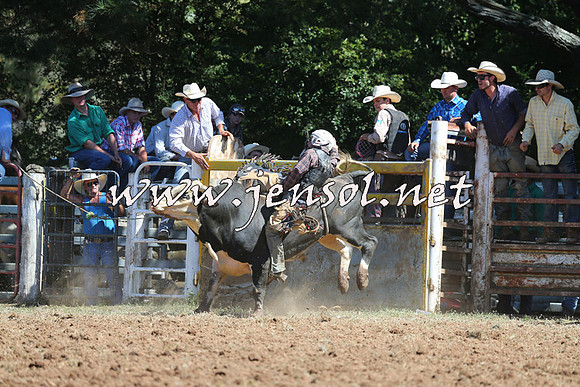 Taralga2015_4815