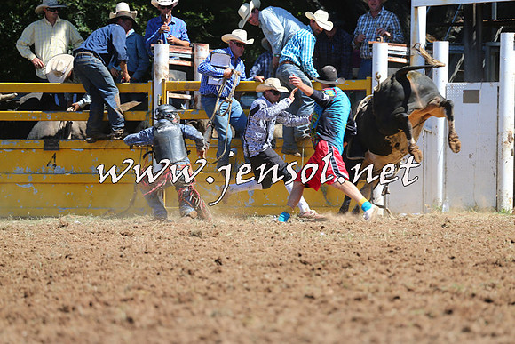 Taralga2015_4633