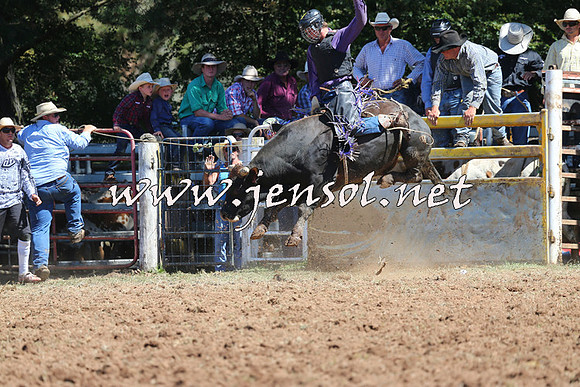 Taralga2015_4565