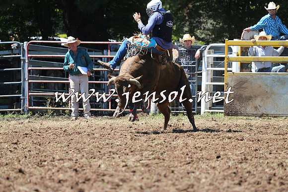 Taralga2015_2067