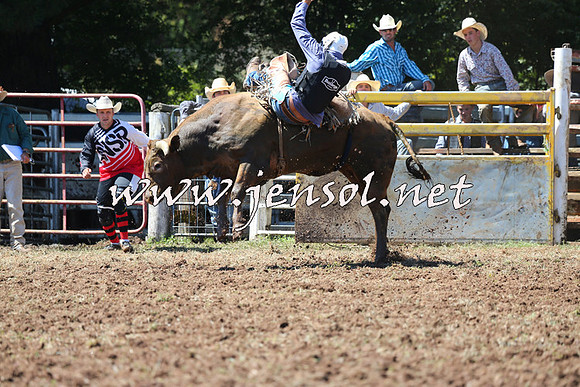 Taralga2015_2049
