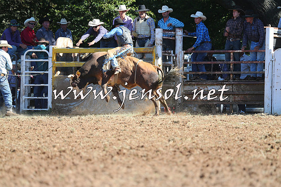 Taralga2015_5304