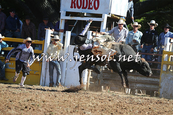 Taralga2015_5410