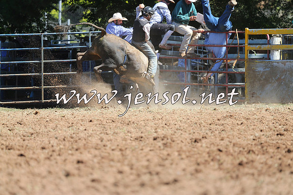 Taralga2015_4687