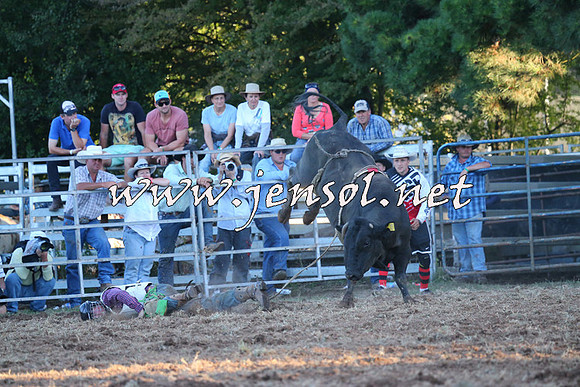 Taralga2015_1432