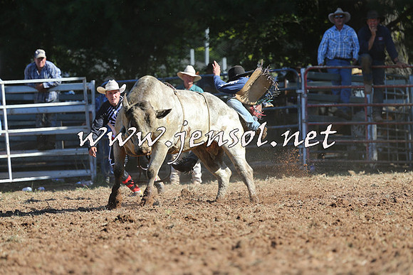 Taralga2015_5385