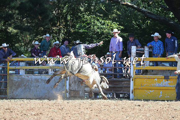 Taralga2015_5334