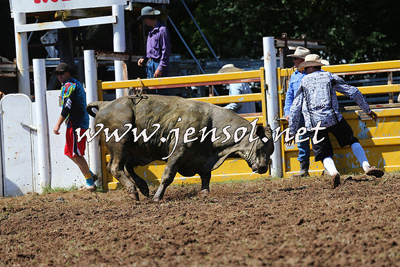 Taralga2015_2043