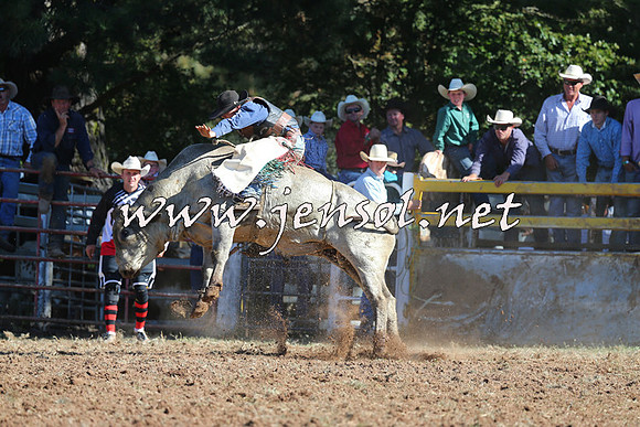 Taralga2015_5363