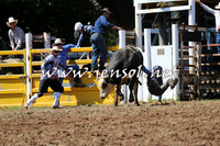 Taralga2015_1931