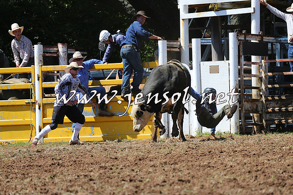 Taralga2015_1931